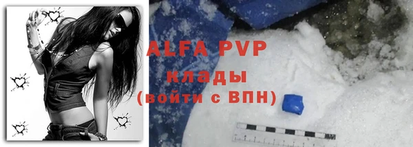 индика Алексеевка