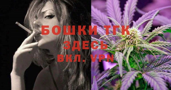 индика Алексеевка