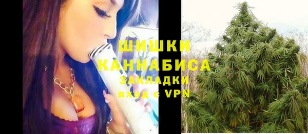 ГАЛЛЮЦИНОГЕННЫЕ ГРИБЫ Алзамай
